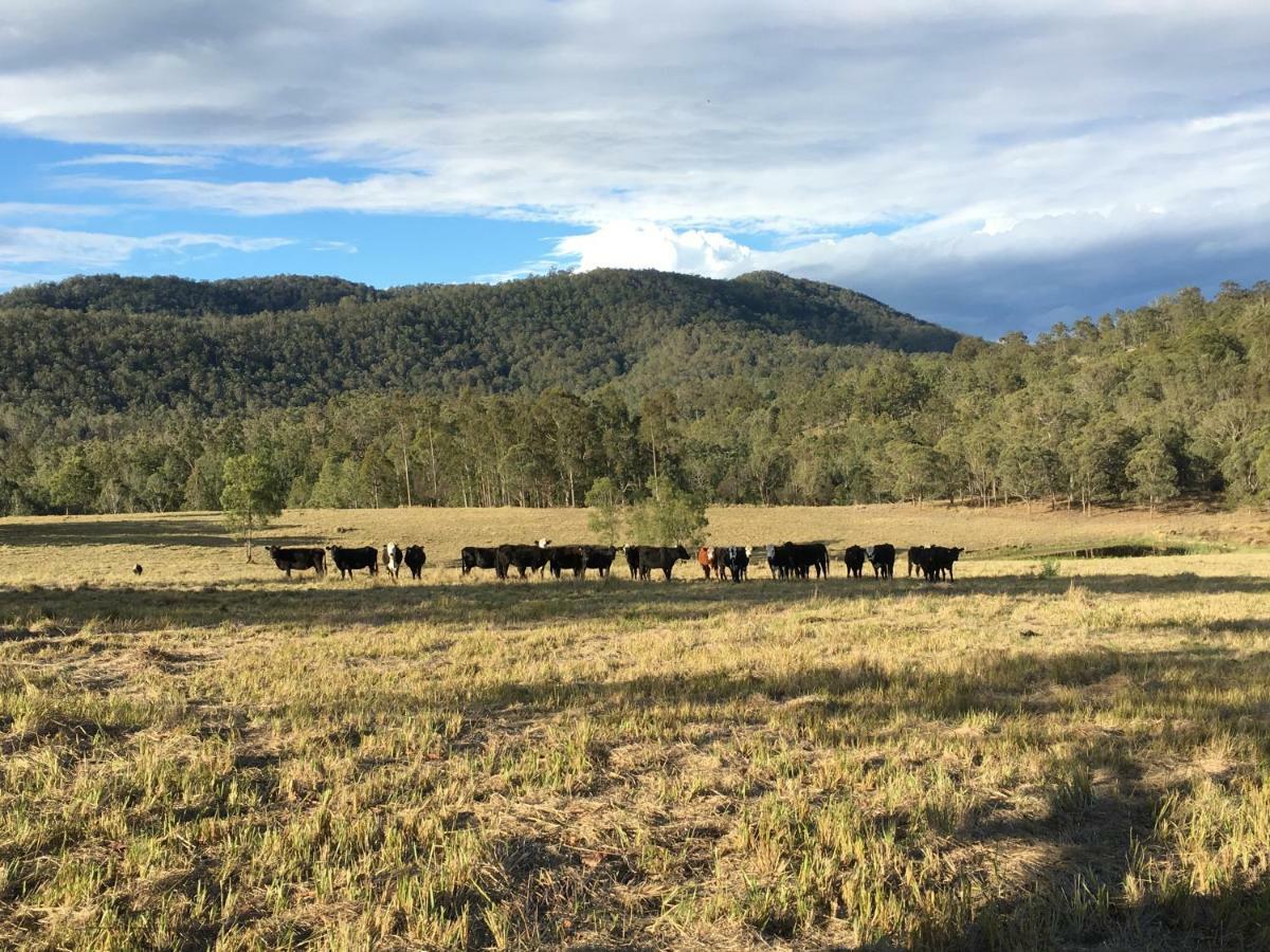 Rural Ambience With Netflix Apartment Mount George Exterior foto