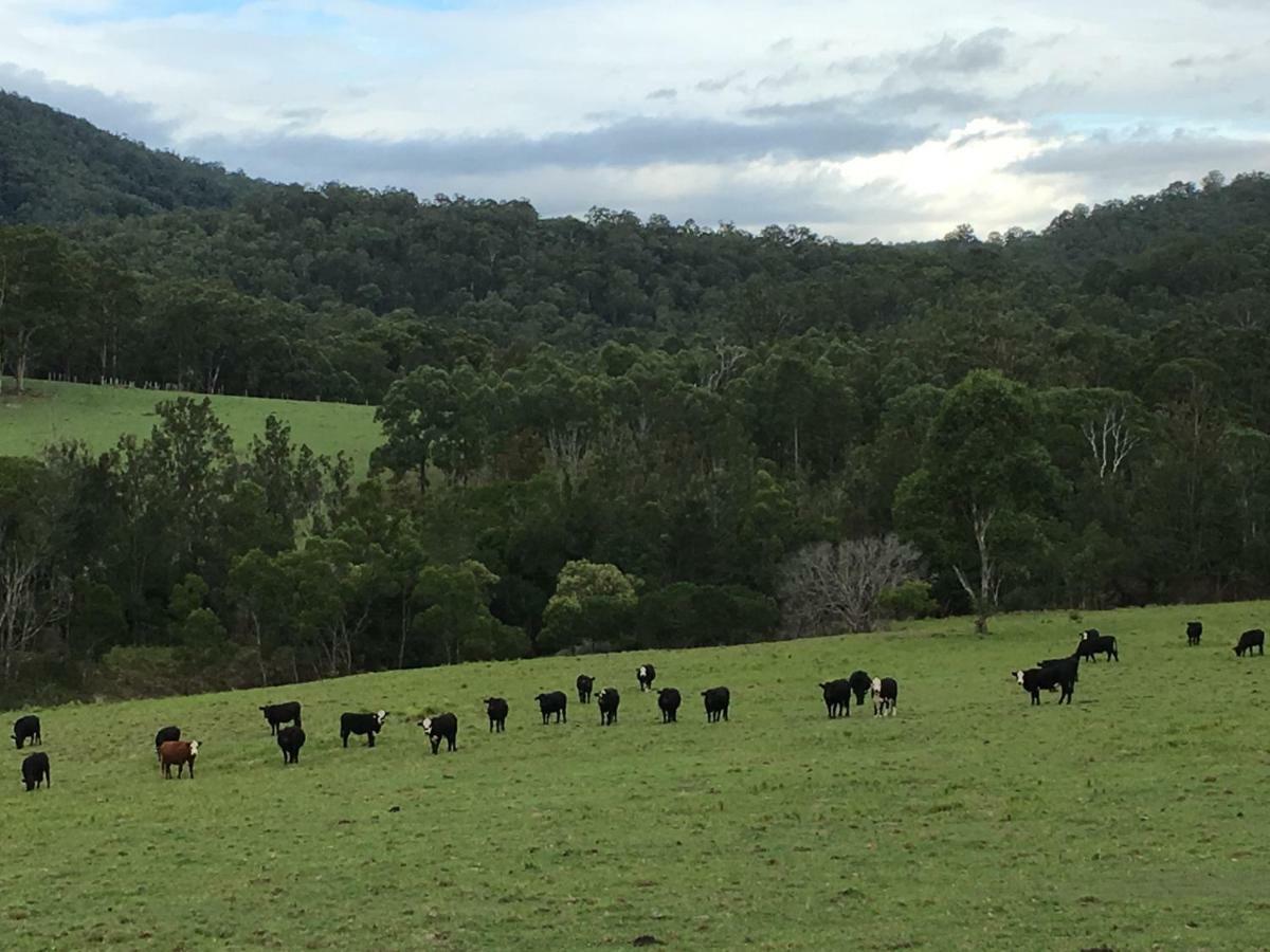 Rural Ambience With Netflix Apartment Mount George Exterior foto