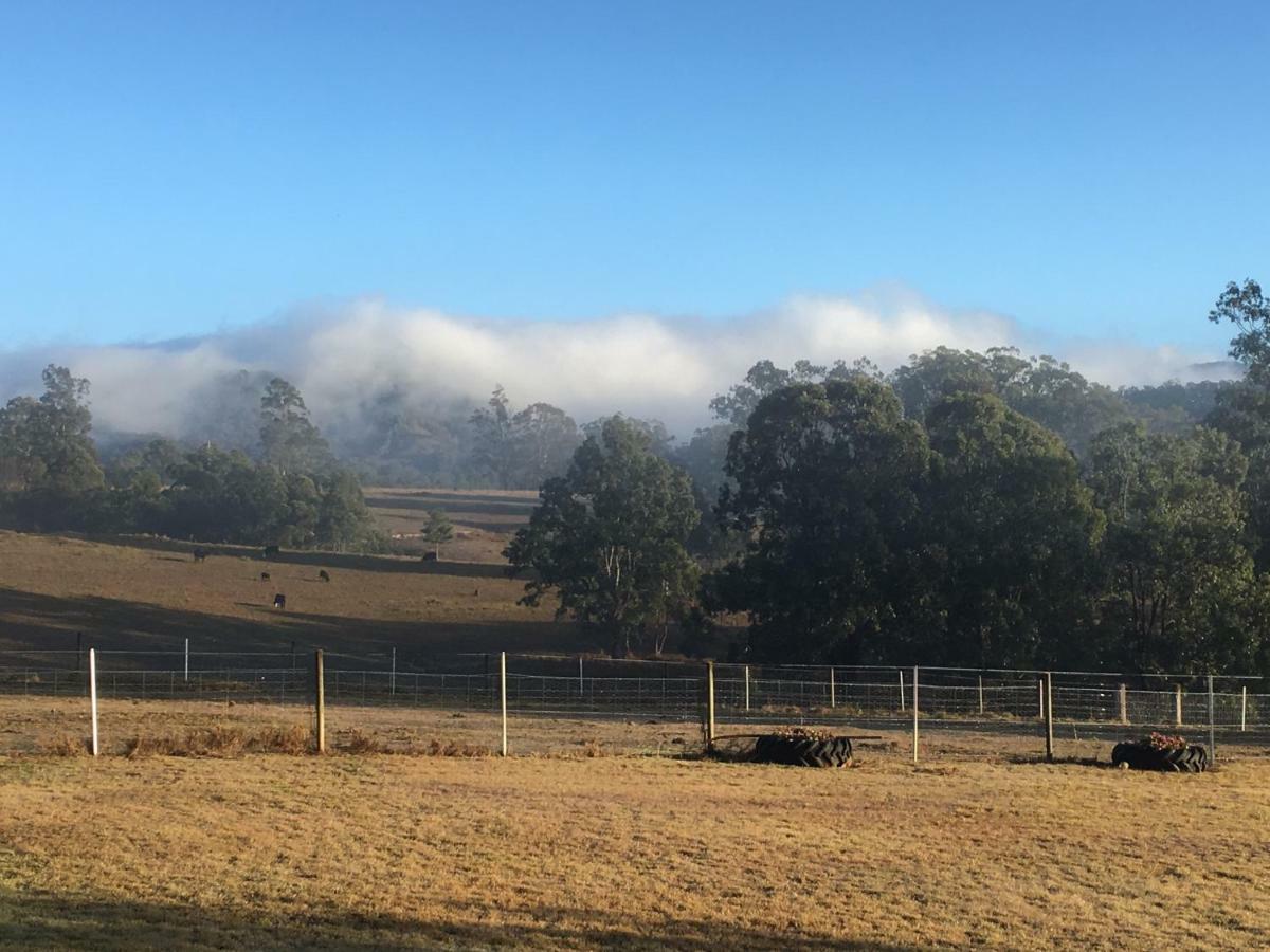 Rural Ambience With Netflix Apartment Mount George Exterior foto